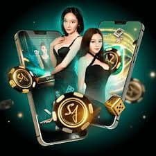 mgm bet brasil