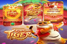 mgm bet brasil
